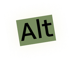Wort Alt
